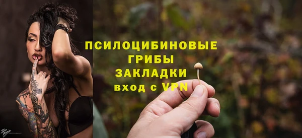 бошки Вязьма