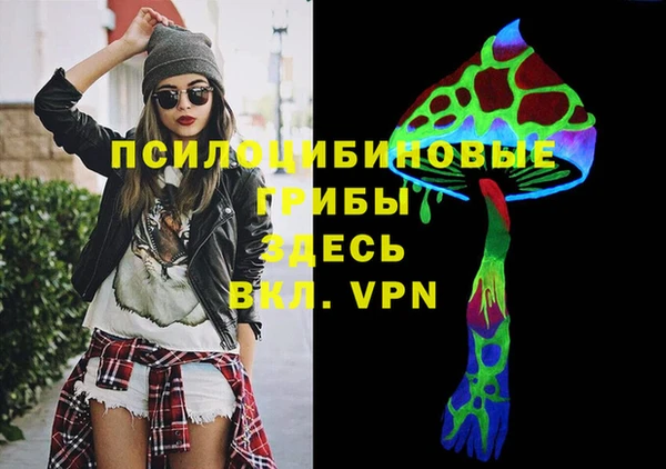 бошки Вязьма